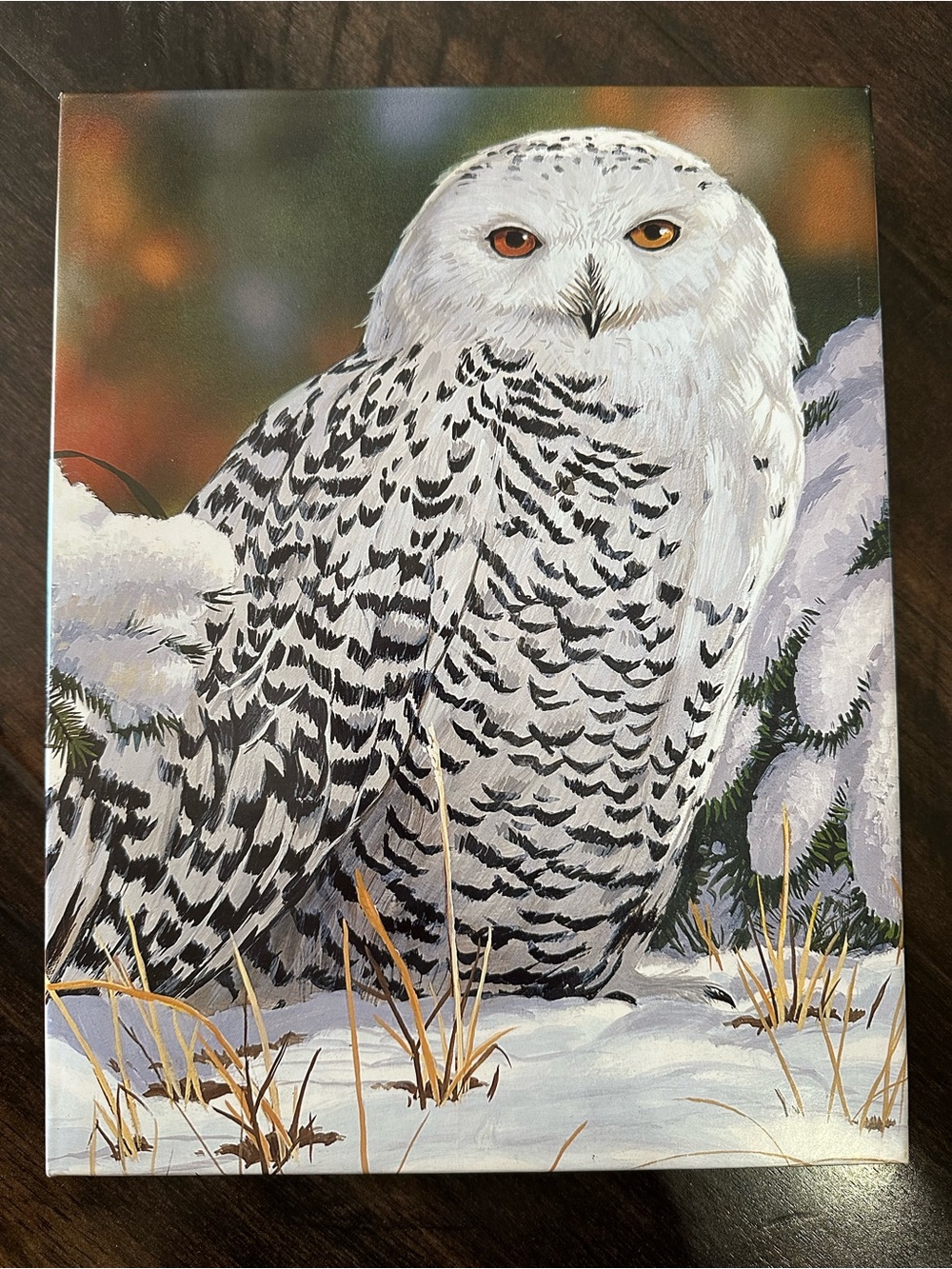 Springbok 500 piece Snowy Owl Puzzle